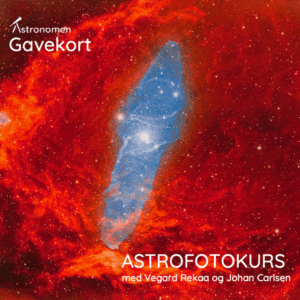 gavekort
