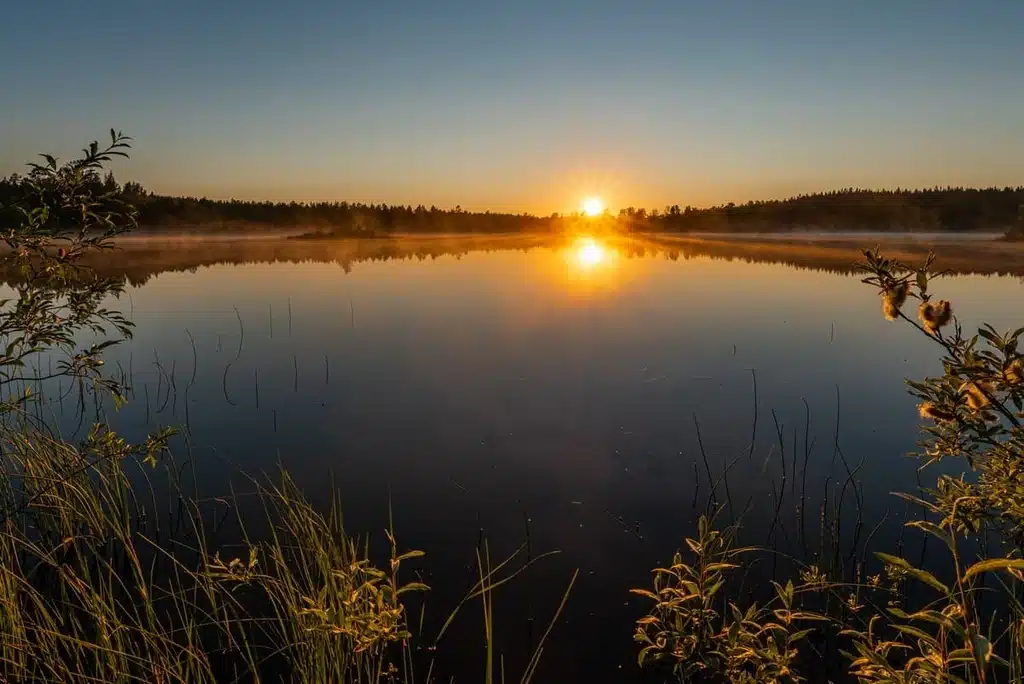 midnattsol